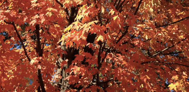 Screen Shot 2013-10-10 at 11.10.01 PM