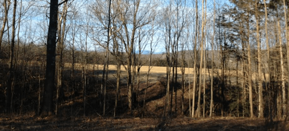 Screen Shot 2013-12-02 at 4.44.07 PM