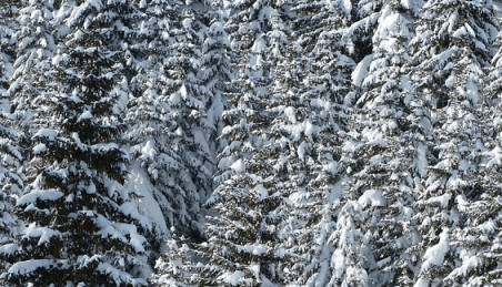 Screen Shot 2014-01-02 at 4.55.41 PM