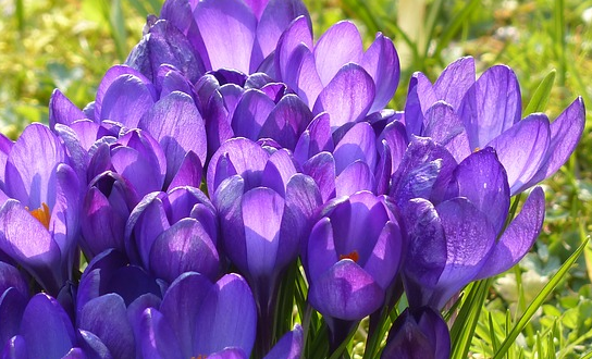 Screen Shot 2014-03-20 at 2.22.47 PM