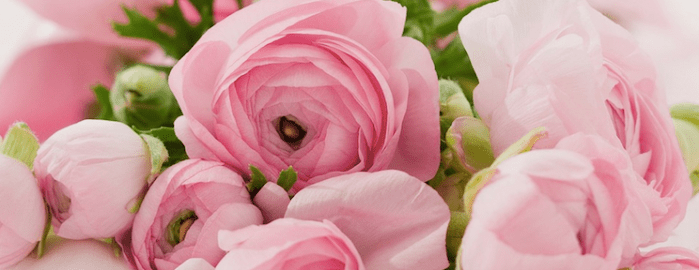 Screen Shot 2014-09-16 at 9.13.20 AM